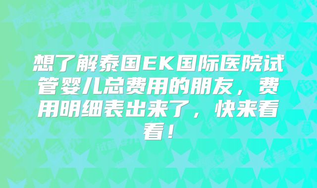 想了解泰国EK国际医院试管婴儿总费用的朋友,费用明细表出来了,快来看看!