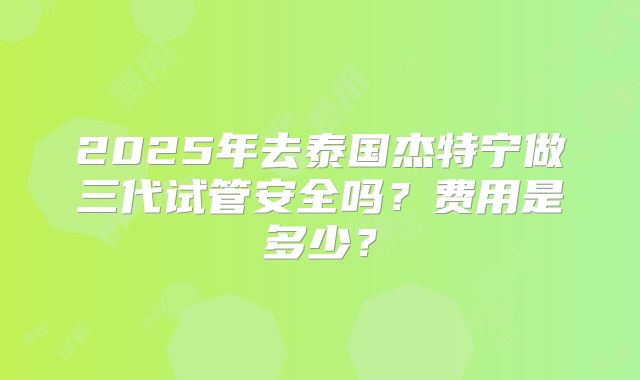 2025年去泰国杰特宁做三代试管安全吗？费用是多少？