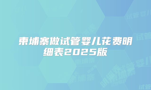 柬埔寨做试管婴儿花费明细表2025版