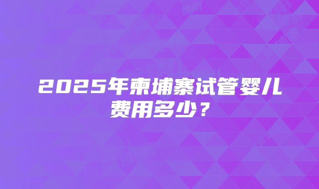 2025年柬埔寨试管婴儿费用多少?