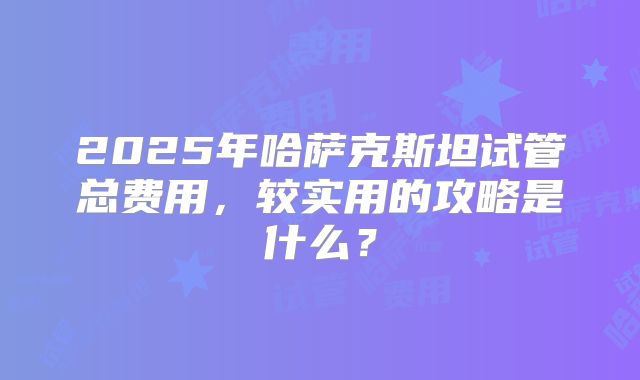 2025年哈萨克斯坦试管总费用，较实用的攻略是什么？