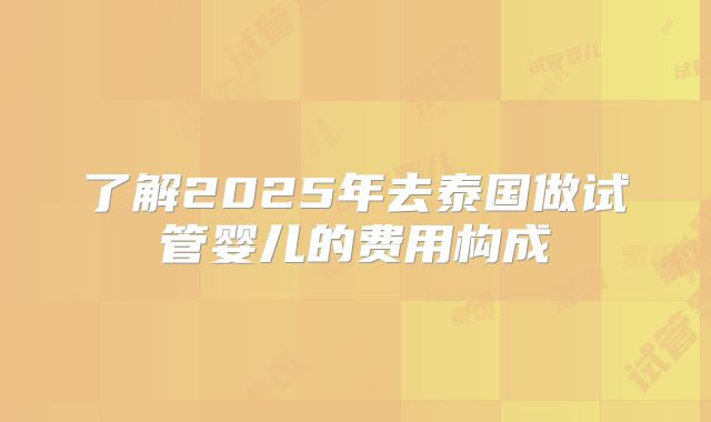 了解2025年去泰国做试管婴儿的费用构成
