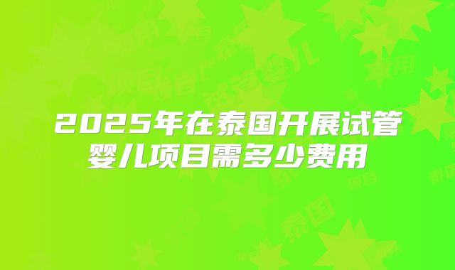 2025年在泰国开展试管婴儿项目需多少费用