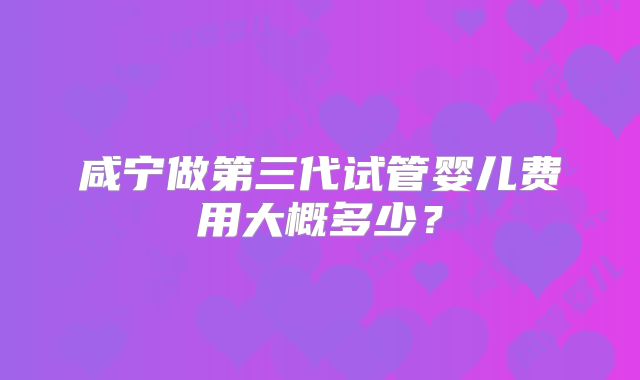 咸宁做第三代试管婴儿费用大概多少?