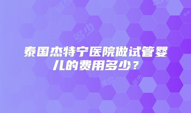泰国杰特宁医院做试管婴儿的费用多少?