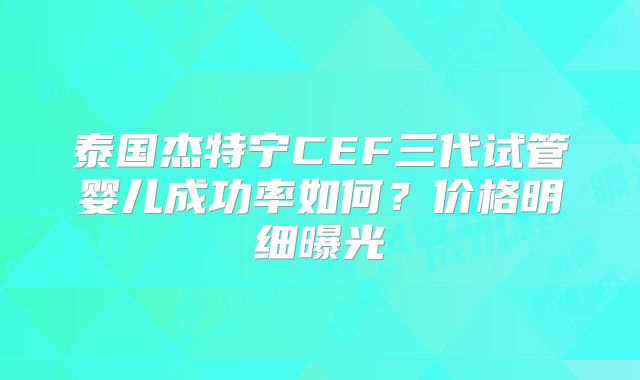 泰国杰特宁CEF三代试管婴儿成功率如何？价格明细曝光