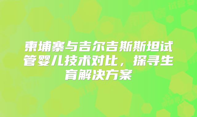 柬埔寨与吉尔吉斯斯坦试管婴儿技术对比,探寻生育解决方案