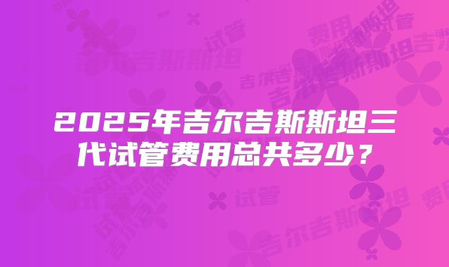 2025年吉尔吉斯斯坦三代试管费用总共多少？