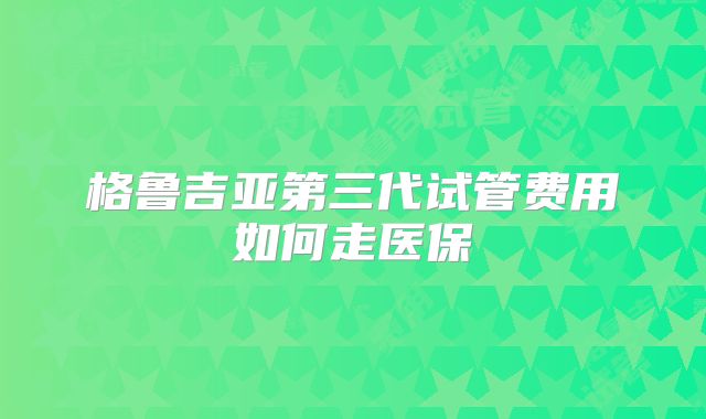 格鲁吉亚第三代试管费用如何走医保