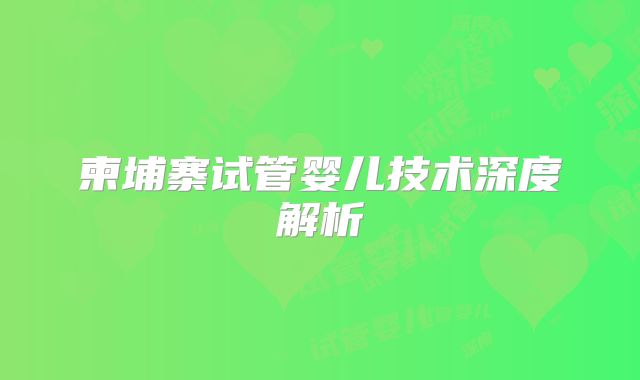 柬埔寨试管婴儿技术深度解析