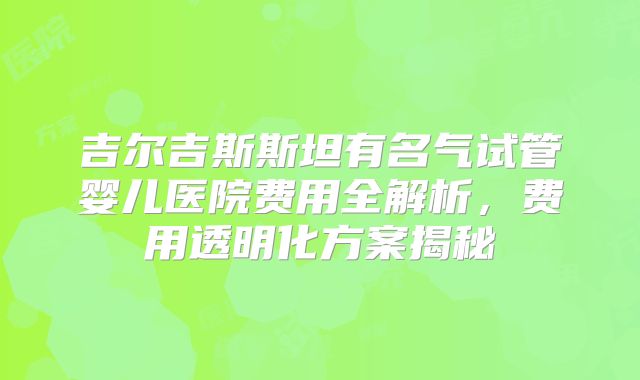 吉尔吉斯斯坦有名气试管婴儿医院费用全解析，费用透明化方案揭秘
