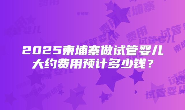2025柬埔寨做试管婴儿大约费用预计多少钱?