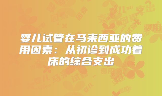 婴儿试管在马来西亚的费用因素:从初诊到成功着床的综合支出