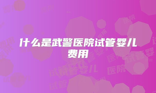 什么是武警医院试管婴儿费用