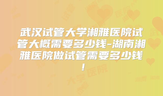 武汉试管大学湘雅医院试管大概需要多少钱-湖南湘雅医院做试管需要多少钱!
