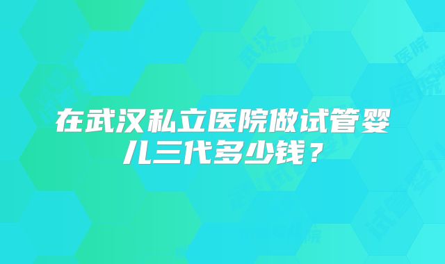 在武汉私立医院做试管婴儿三代多少钱？