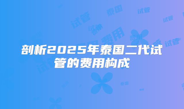 剖析2025年泰国二代试管的费用构成