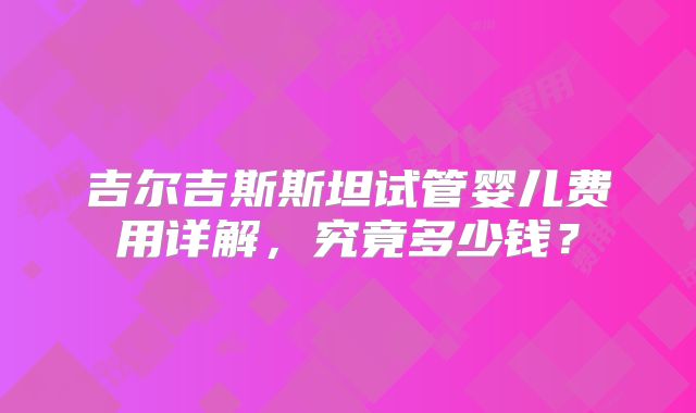 吉尔吉斯斯坦试管婴儿费用详解，究竟多少钱？