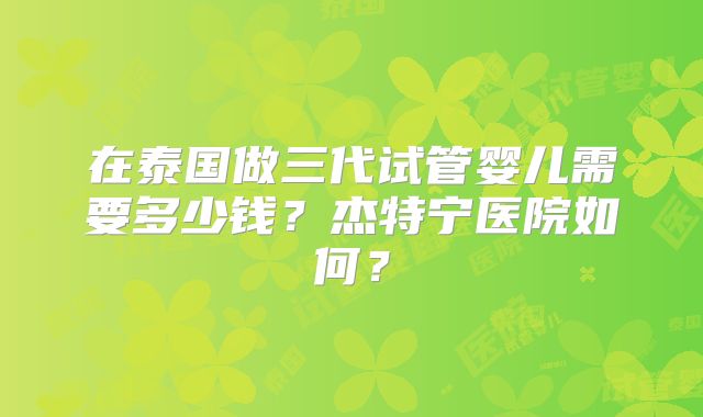 在泰国做三代试管婴儿需要多少钱？杰特宁医院如何？