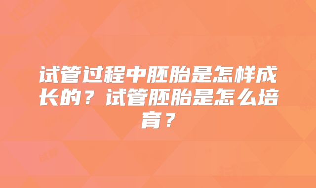 试管过程中胚胎是怎样成长的?试管胚胎是怎么培育?