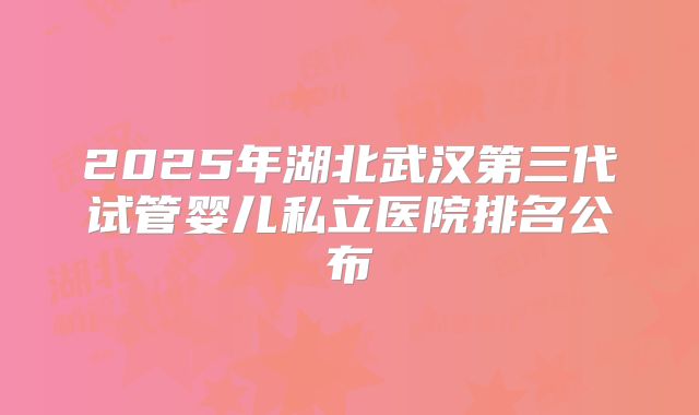 2025年湖北武汉第三代试管婴儿私立医院排名公布