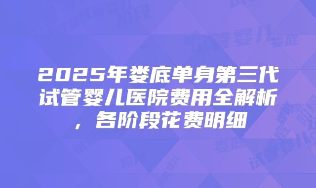 2025年娄底单身第三代试管婴儿医院费用全解析，各阶段花费明细