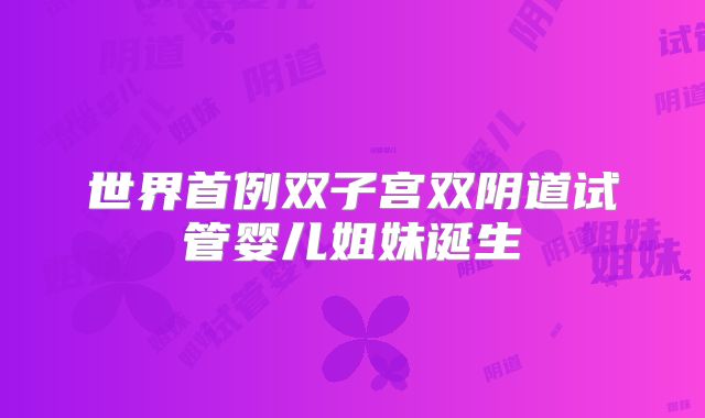 世界首例双子宫双阴道试管婴儿姐妹诞生