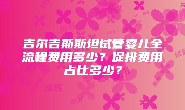 吉尔吉斯斯坦试管婴儿全流程费用多少?促排费用占比多少?