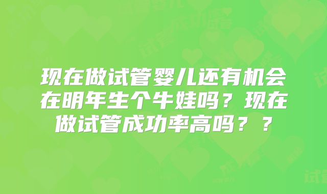现在做试管婴儿还有机会在明年生个牛娃吗?现在做试管成功率高吗??