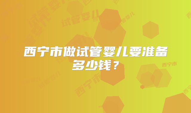 西宁市做试管婴儿要准备多少钱?