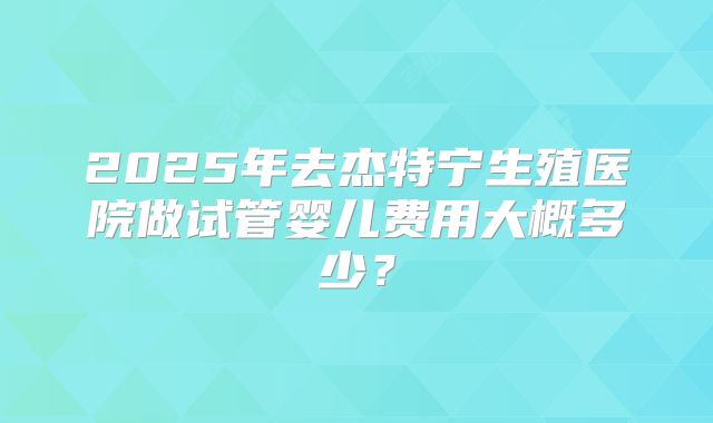 2025年去杰特宁生殖医院做试管婴儿费用大概多少?