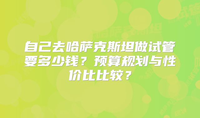 自己去哈萨克斯坦做试管要多少钱？预算规划与性价比比较？