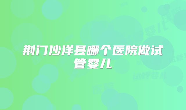 荆门沙洋县哪个医院做试管婴儿