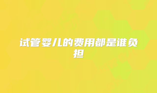 试管婴儿的费用都是谁负担