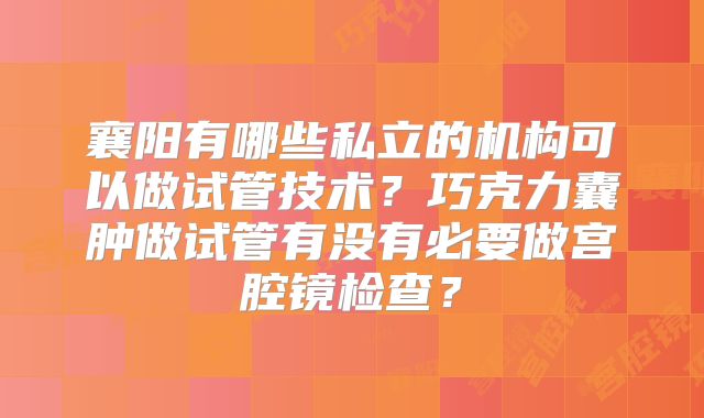 襄阳有哪些私立的机构可以做试管技术?巧克力囊肿做试管有没有必要做宫腔镜检查?