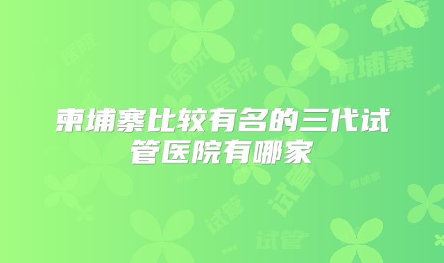 柬埔寨比较有名的三代试管医院有哪家