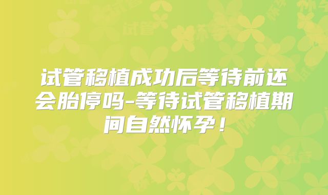试管移植成功后等待前还会胎停吗-等待试管移植期间自然怀孕！