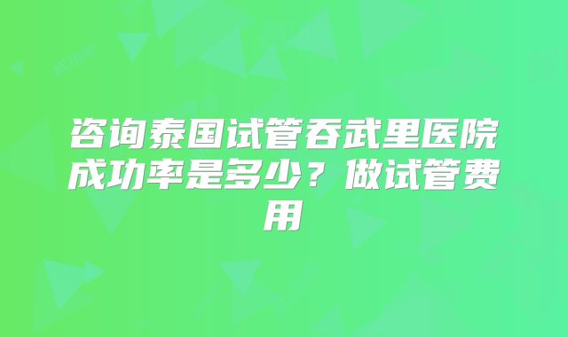 咨询泰国试管吞武里医院成功率是多少？做试管费用