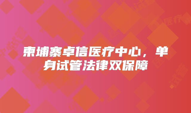 柬埔寨卓信医疗中心，单身试管法律双保障