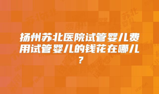 扬州苏北医院试管婴儿费用试管婴儿的钱花在哪儿?