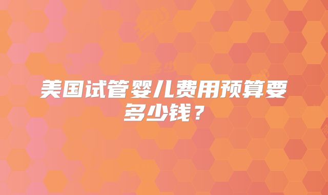 美国试管婴儿费用预算要多少钱?