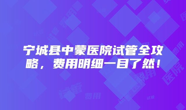 宁城县中蒙医院试管全攻略,费用明细一目了然!