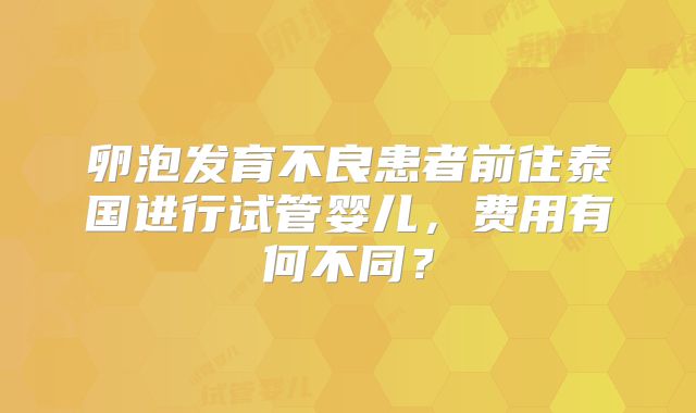 卵泡发育不良患者前往泰国进行试管婴儿,费用有何不同?