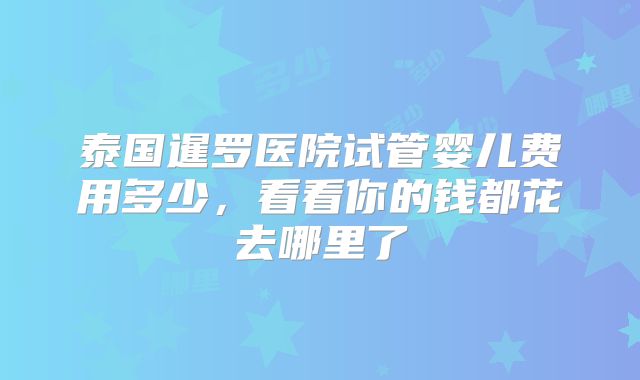 泰国暹罗医院试管婴儿费用多少，看看你的钱都花去哪里了