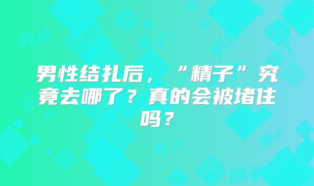 男性结扎后，“精子”究竟去哪了？真的会被堵住吗？