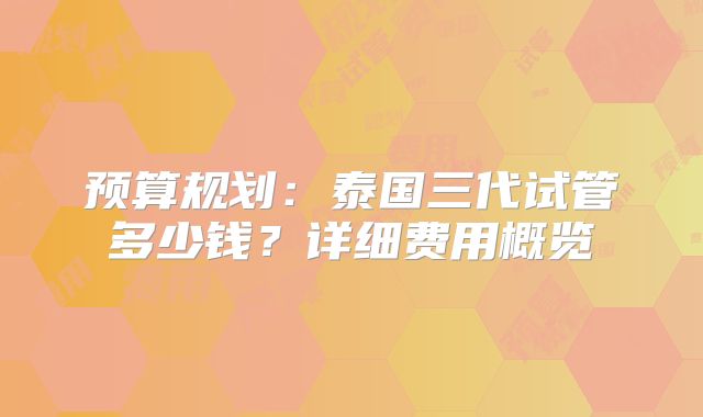 预算规划:泰国三代试管多少钱?详细费用概览