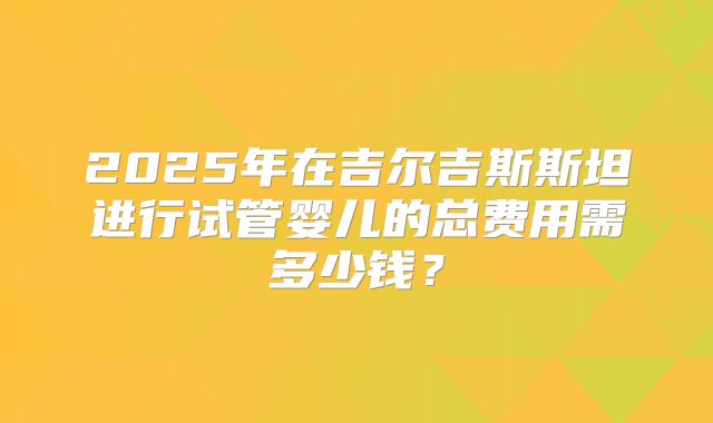 2025年在吉尔吉斯斯坦进行试管婴儿的总费用需多少钱?
