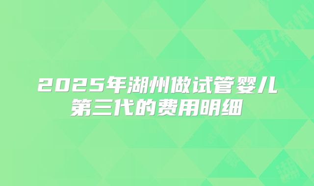 2025年湖州做试管婴儿第三代的费用明细