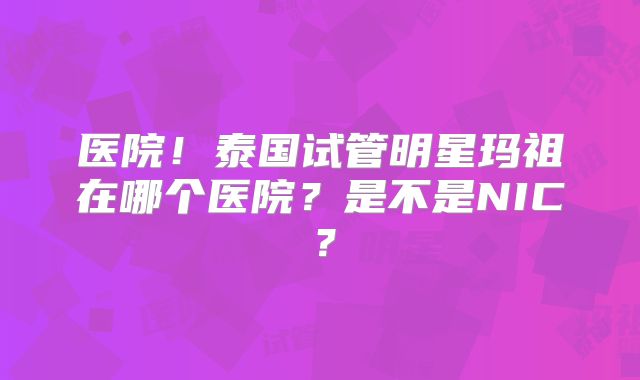 医院！泰国试管明星玛祖在哪个医院？是不是NIC？