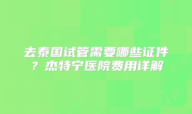 去泰国试管需要哪些证件?杰特宁医院费用详解